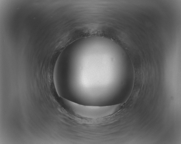 X0000060760039200511101151