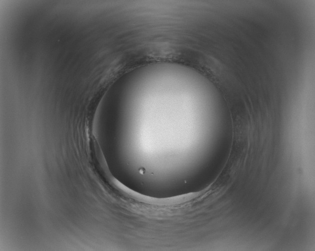 X0000060760040200511101151