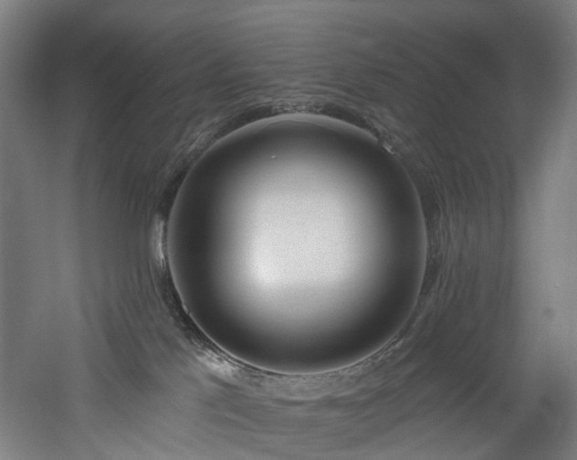 X0000060760041200511101151