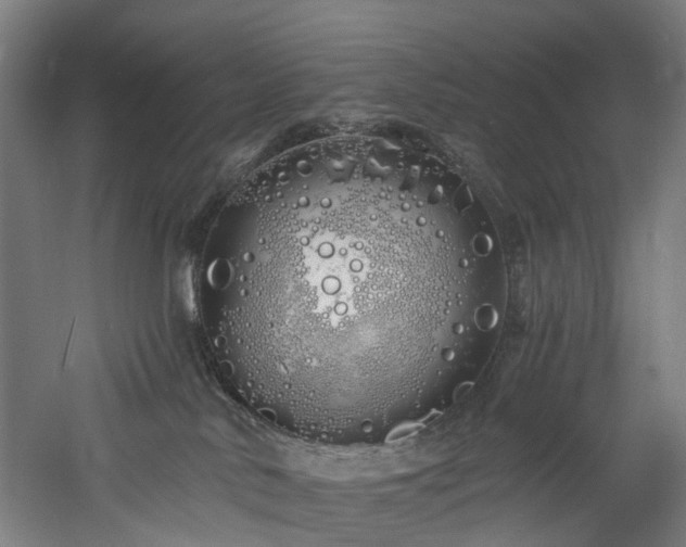 X0000060760042200511101151