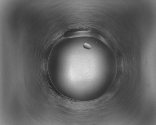 X0000060760044200511101151