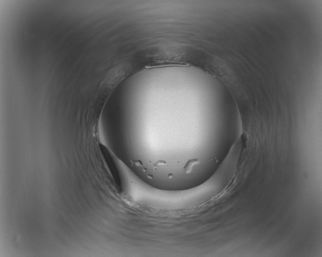 X0000060760045200511101151