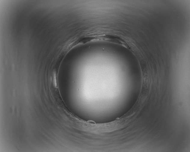 X0000060760046200511101151