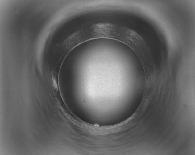 X0000060760047200511101151