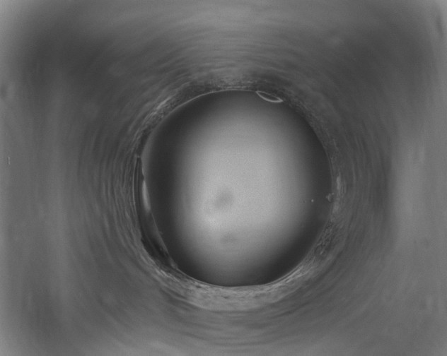 X0000060760048200511101151