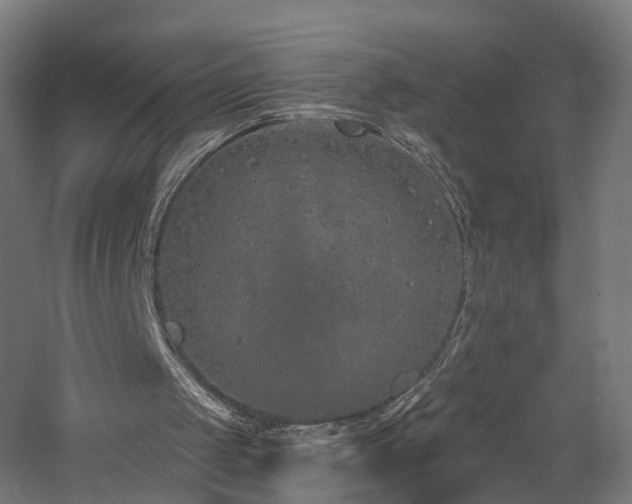 X0000060760049200511101151