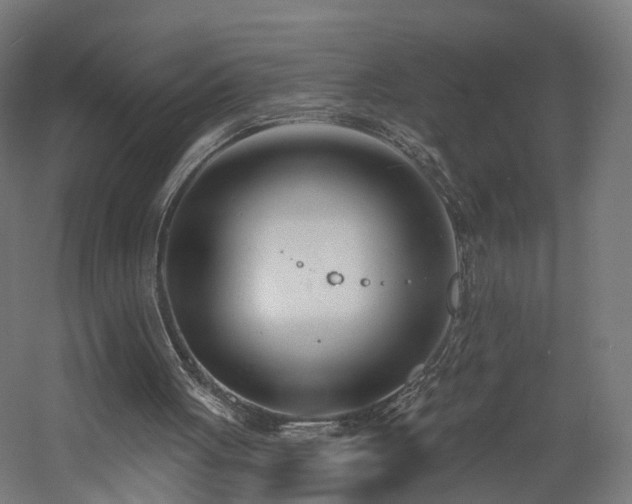 X0000060760051200511101151