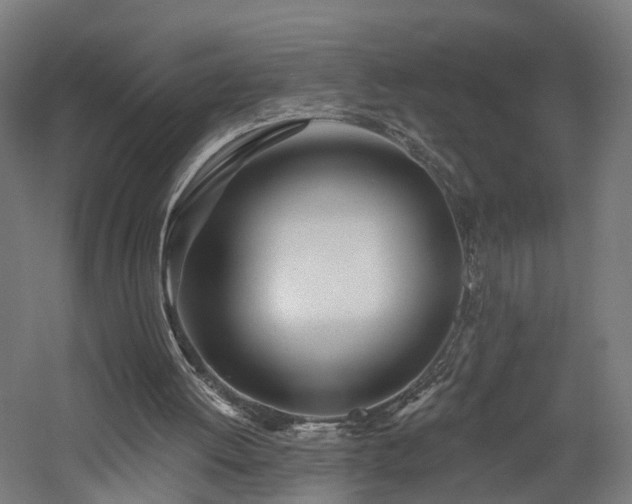 X0000060760052200511101151