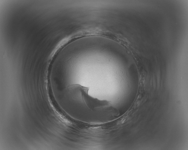 X0000060760054200511101151