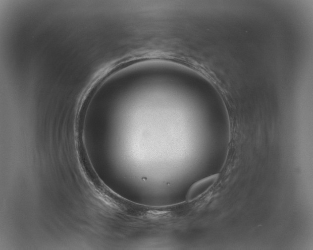 X0000060760055200511101151