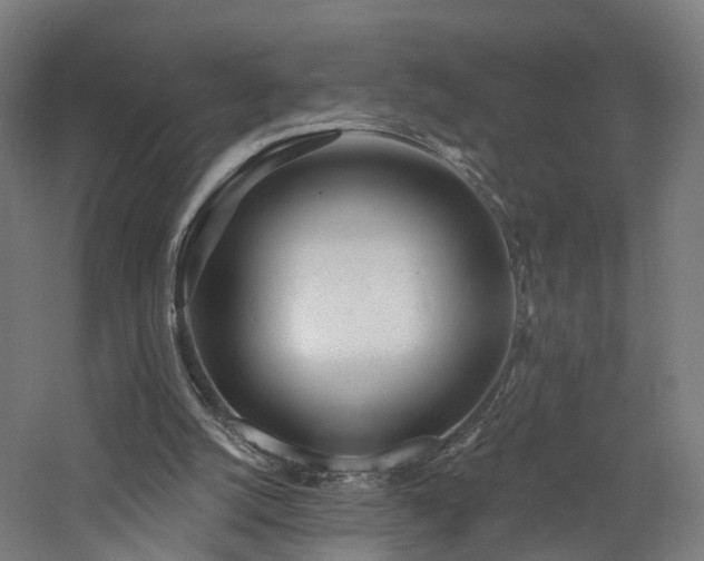 X0000060760056200511101151