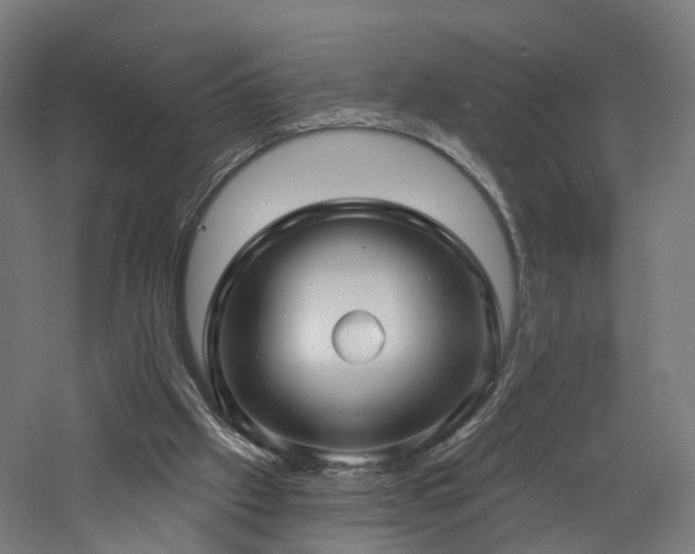 X0000060760057200511101151