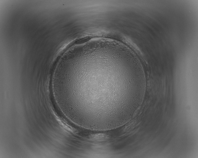 X0000060760058200511101151