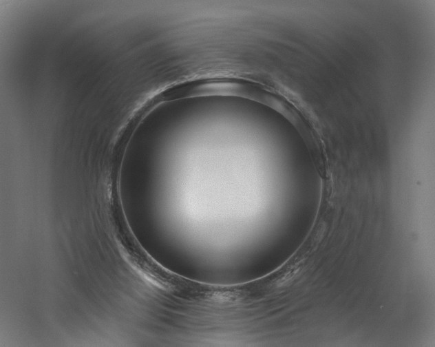 X0000060760060200511101151