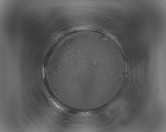 X0000060760061200511101151