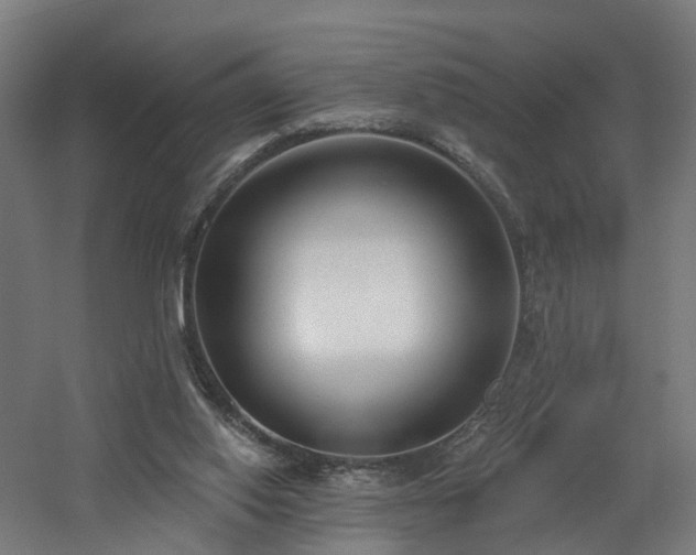 X0000060760062200511101151