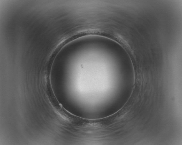 X0000060760063200511101151