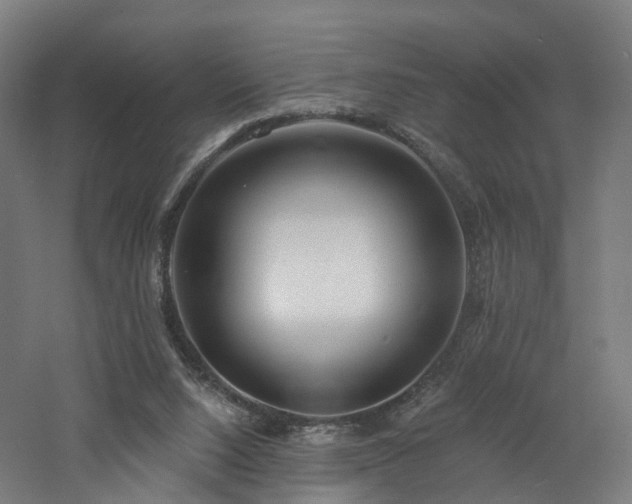 X0000060760064200511101151