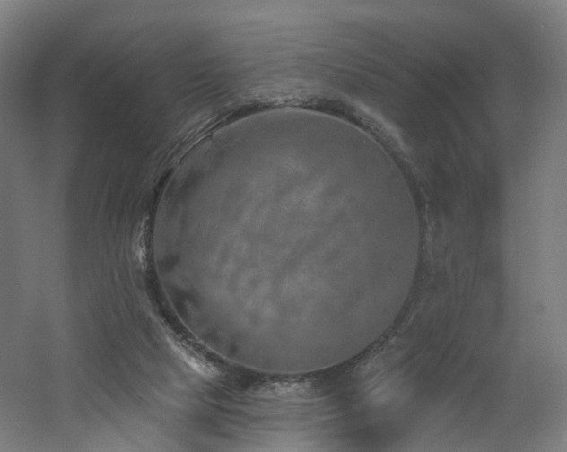 X0000060760065200511101151