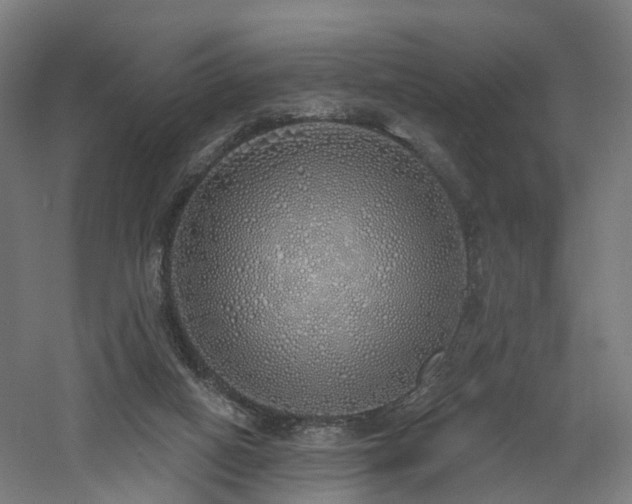 X0000060760066200511101151