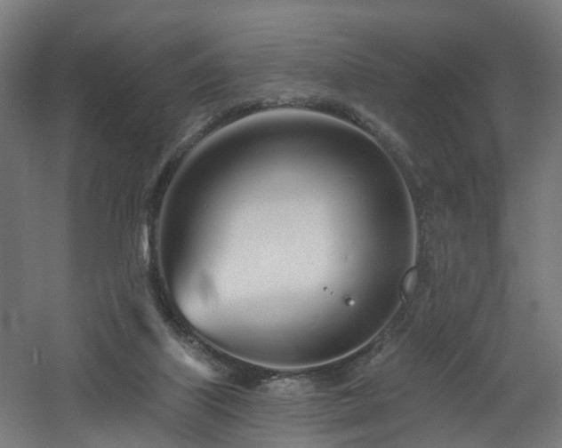 X0000060760067200511101151