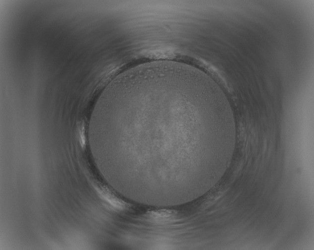 X0000060760069200511101151