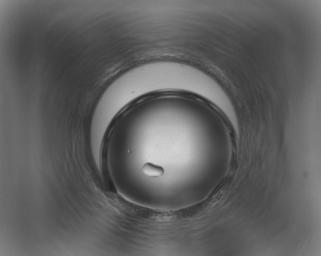 X0000060760071200511101151