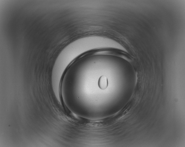 X0000060760073200511101151