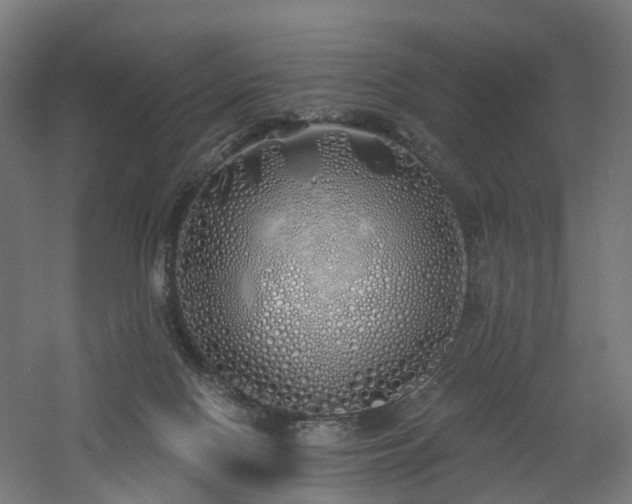 X0000060760074200511101151