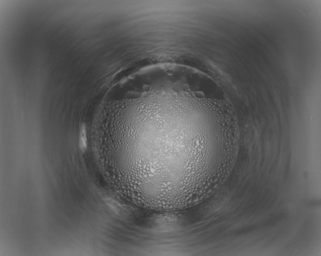 X0000060760075200511101151