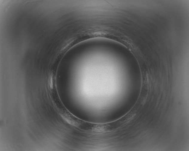 X0000060760076200511101151