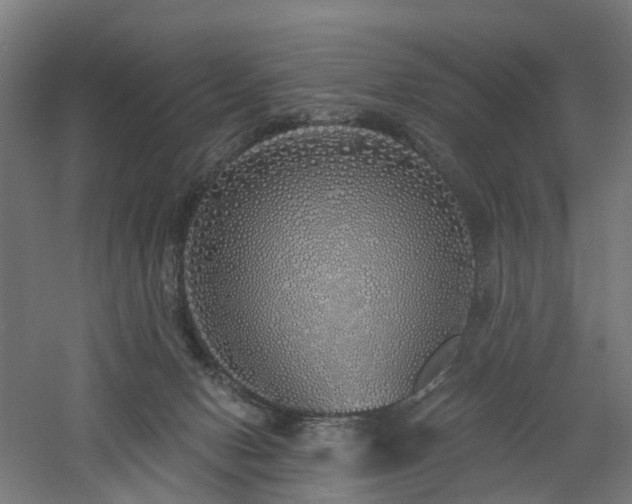 X0000060760078200511101151