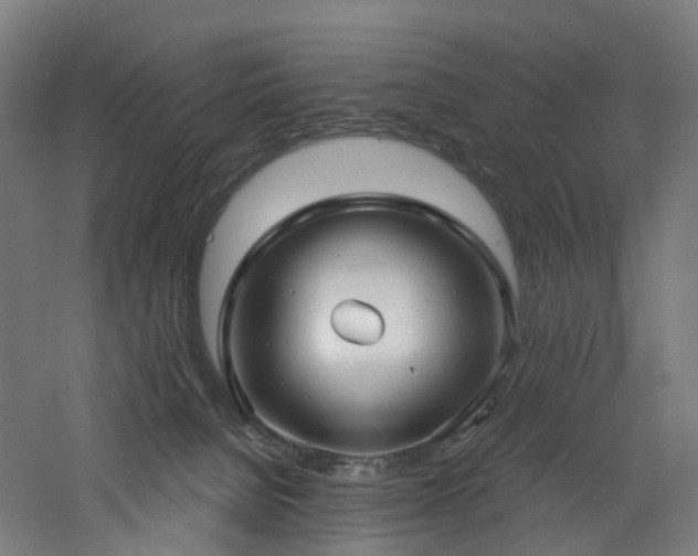 X0000060760080200511101151