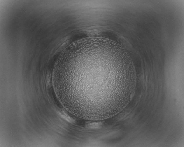 X0000060760081200511101151