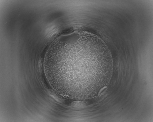 X0000060760082200511101151