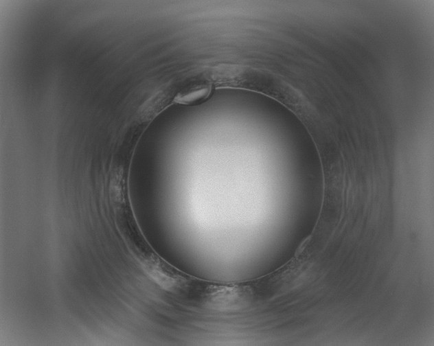 X0000060760083200511101151