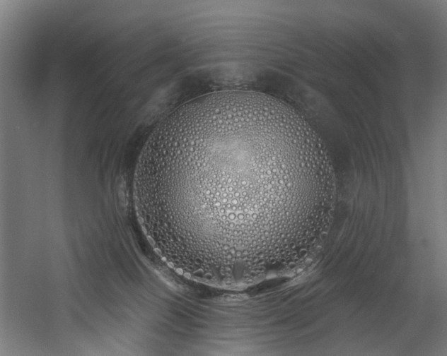 X0000060760086200511101151