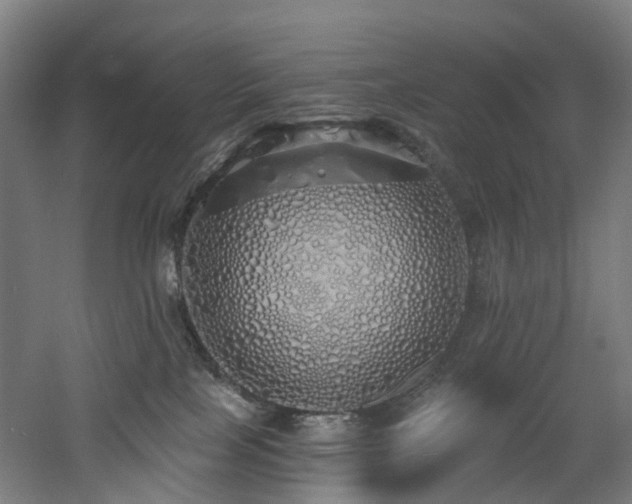 X0000060760089200511101151