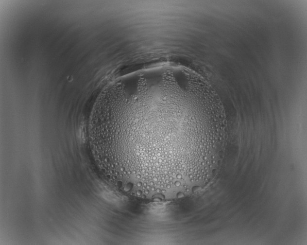 X0000060760090200511101151