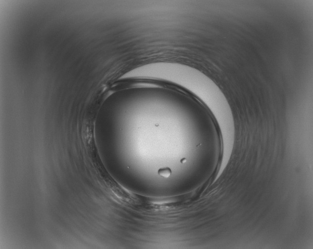 X0000060760091200511101151