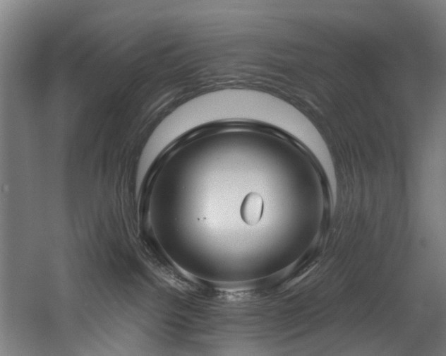 X0000060760092200511101151