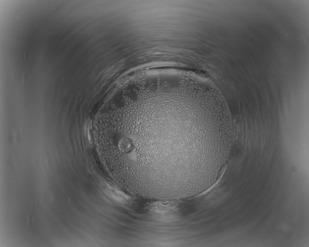 X0000060760094200511101151