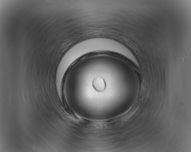 X0000060760096200511101151