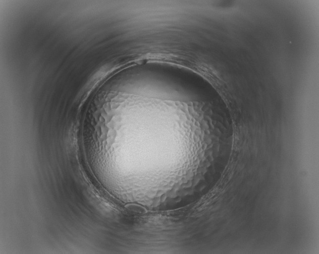 X0000060760098200511101150