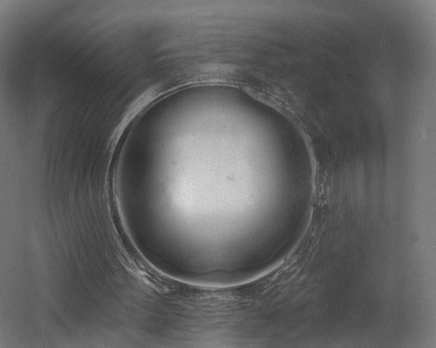 X0000060760099200511101150