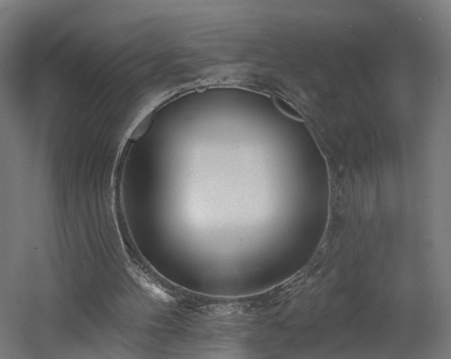 X0000060760100200511101150