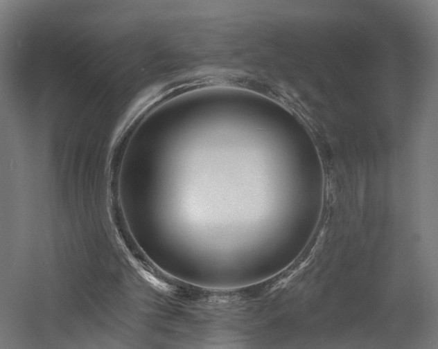 X0000060760101200511101150