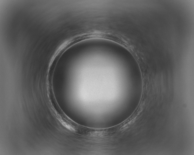 X0000060760102200511101150