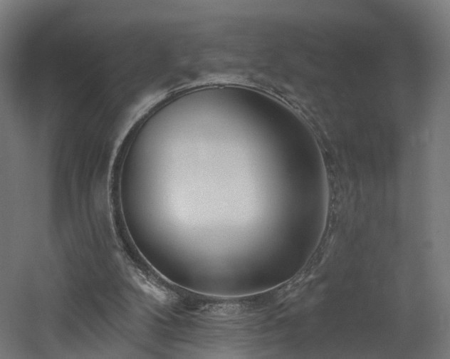 X0000060760104200511101150