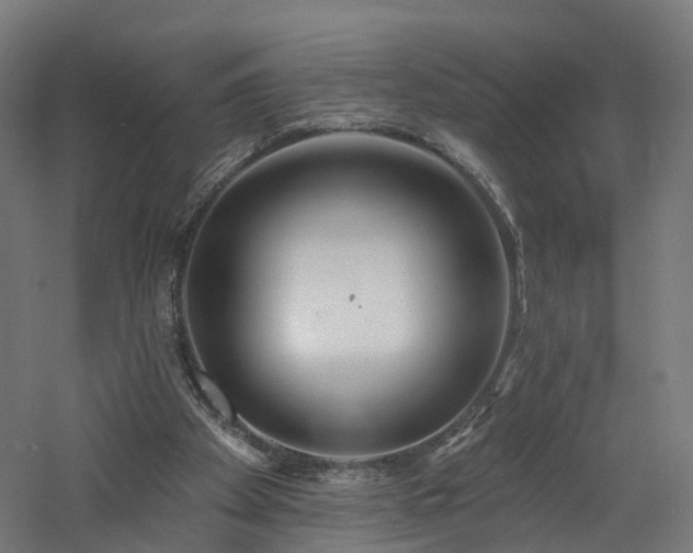 X0000060760105200511101150